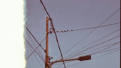 contact support at 2532725127