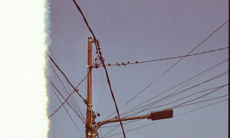 contact support at 2532725127