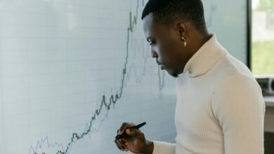 financial insights and development